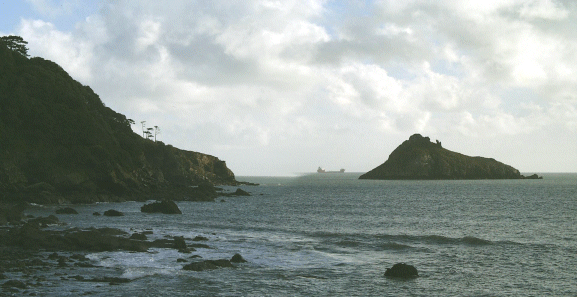 Panorama of Meadfoot Bay